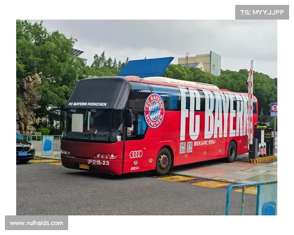 如何打破拜仁慕尼黑在德甲的长期统治格局挑战与应对策略分析